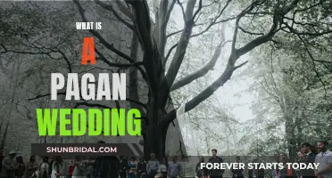 Pagan Wedding Traditions: Ancient Rituals, Modern Love