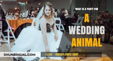 Celebrating Love: Understanding the Role of a Wedding Animal Party