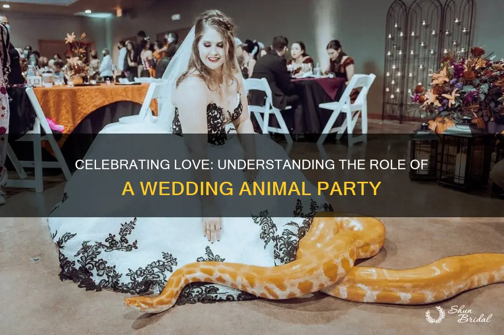 what is a party for a wedding animal