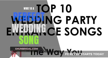 Choosing the Perfect Wedding Song: A Guide