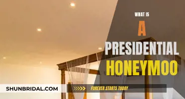 Unveiling the Presidential Honeymoon: A New Leader's First Test