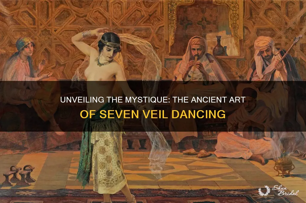 what is a seven veil dancer called