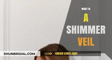 Discover the Magic of a Shimmer Veil: A Bridal Trend