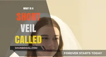 Understanding the Short Veil: A Guide to Its Name and Uses