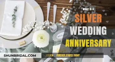Celebrating 25 Years of Love: The Silver Wedding Anniversary Explained