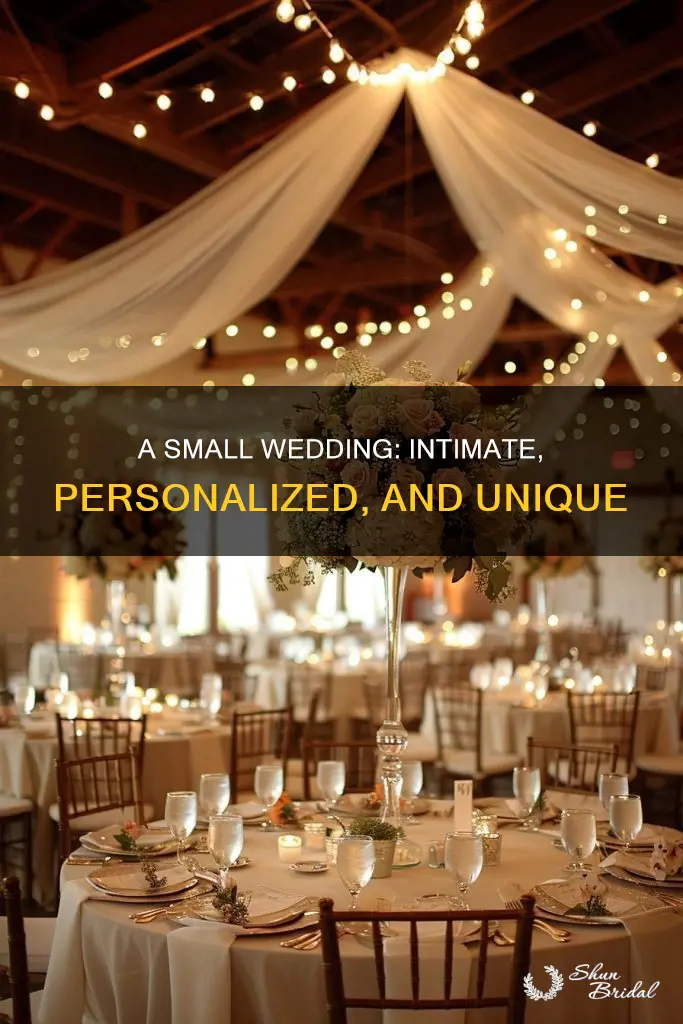 what is a small wedding
