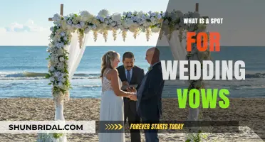 Choosing the Perfect Spot for Your Wedding Vows: A Guide