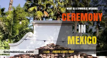 Understanding Mexico's Symbolic Wedding Ceremonies: Rituals, Meaning, and Traditions