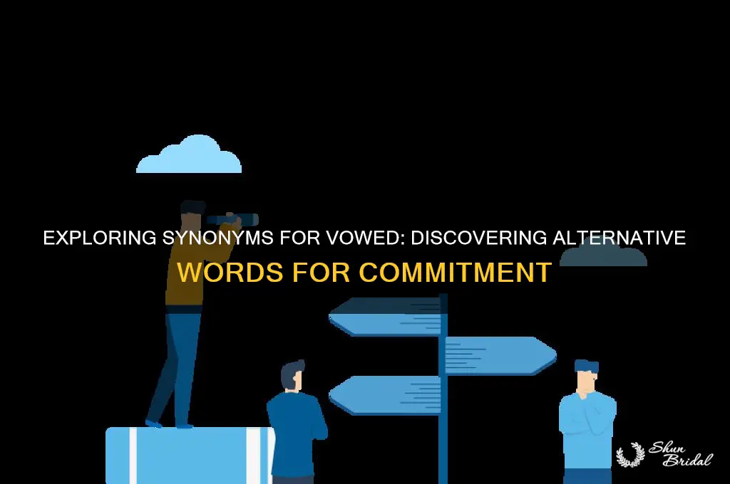 what is a synonym for vowed