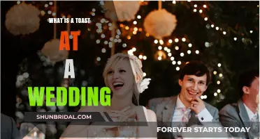 Wedding Toasts: A Guide to Traditions and Etiquette