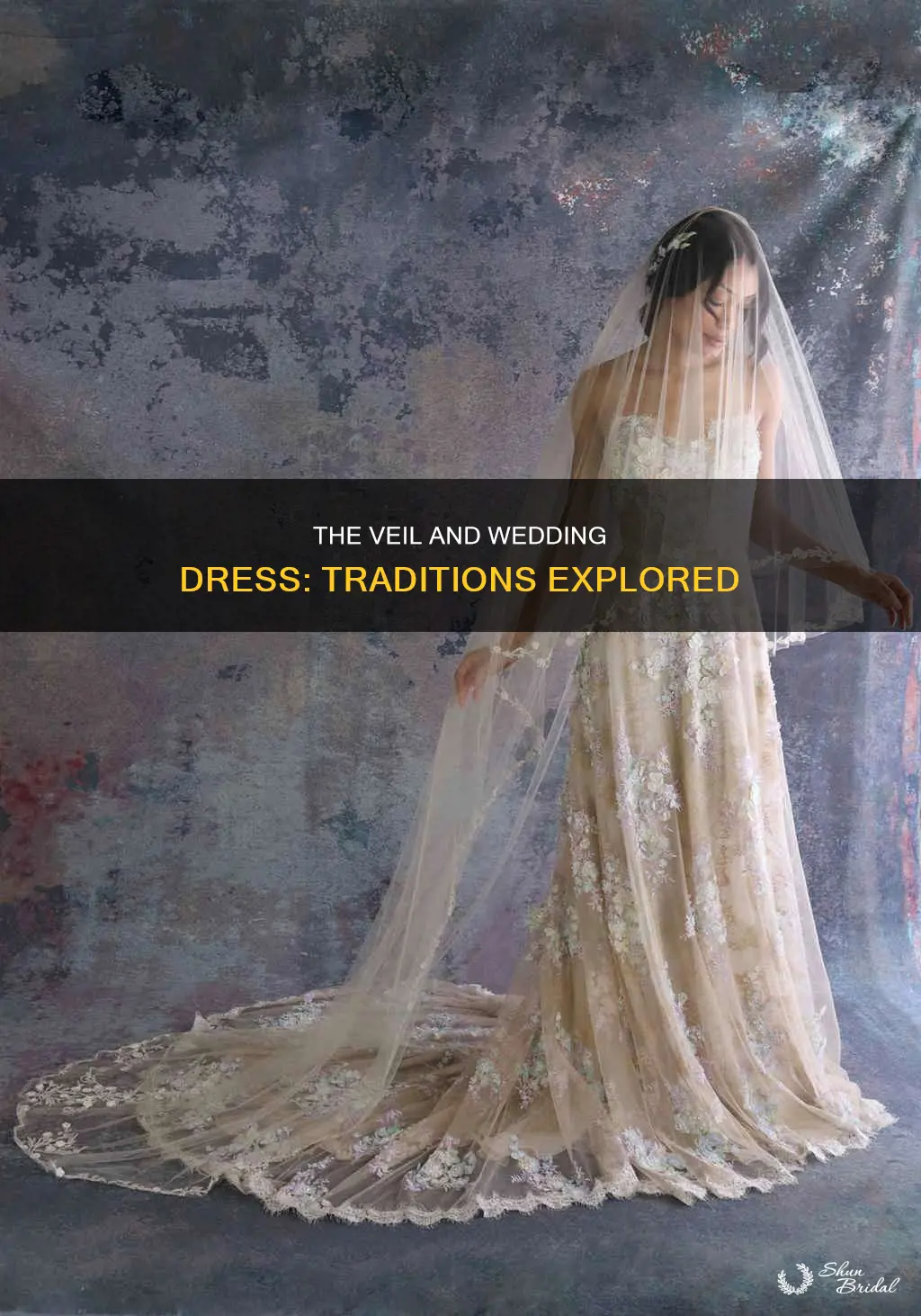 what is a traditional wedding dress and veil
