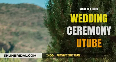 Understanding Unity Wedding Ceremonies: A YouTube Guide to Traditions