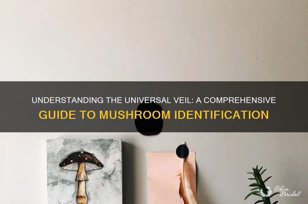 what is a universal veil