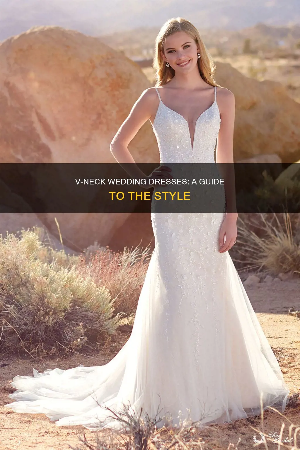 what is a v neck wedding dress