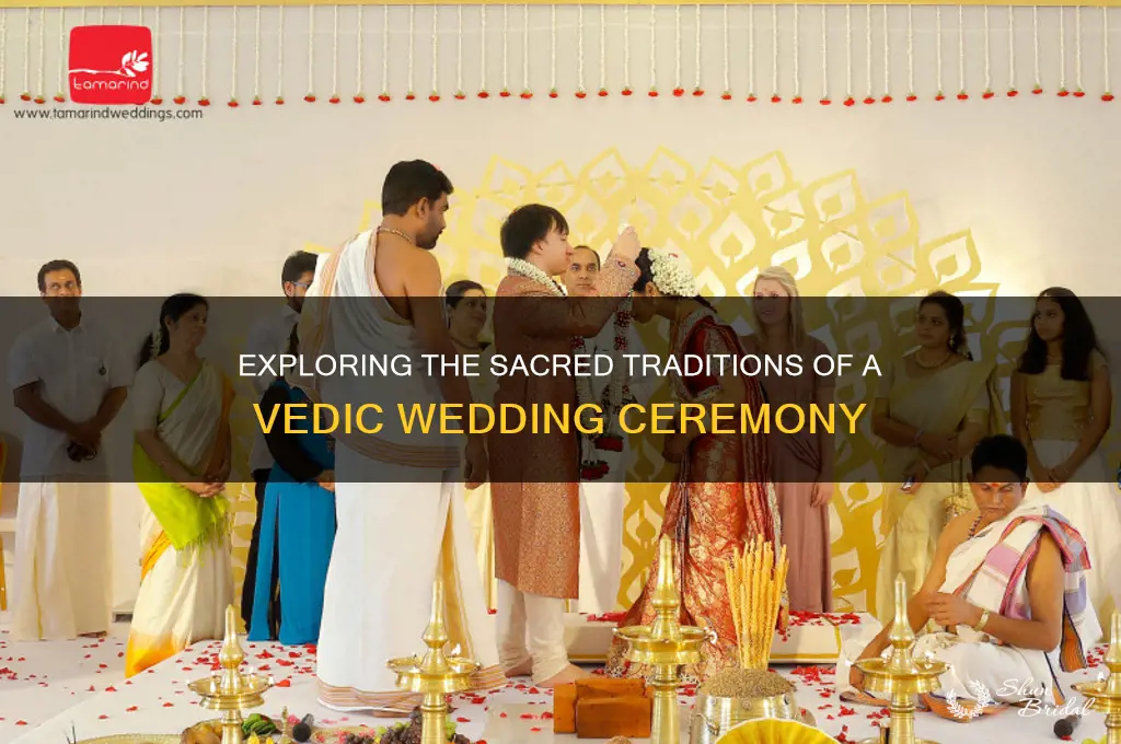 what is a vedic wedding ceremony