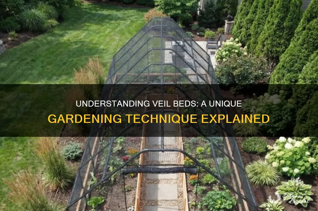 what is a veil bed