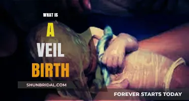 Understanding Veil Birth: A Rare Phenomenon Explained Simply