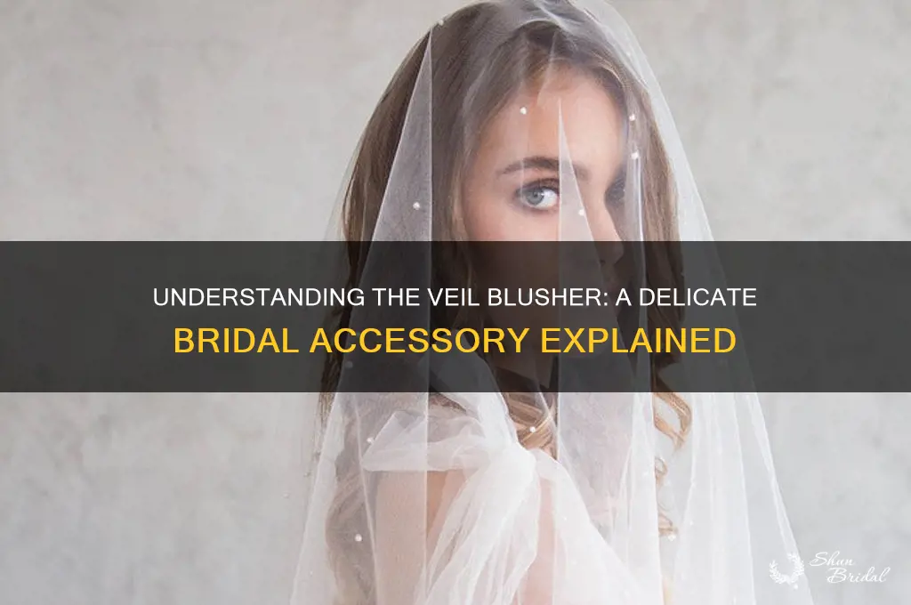 what is a veil blusher