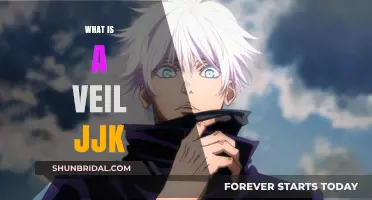 Understanding the Veil in Jujutsu Kaisen: A Comprehensive Guide