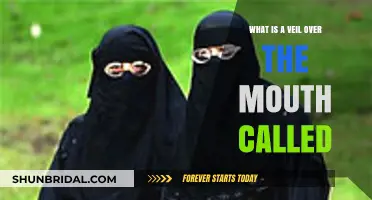Understanding the Veil Over the Mouth: Its Name and Cultural Significance