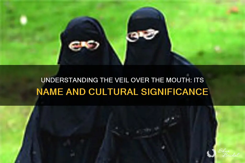 what is a veil over the mouth called