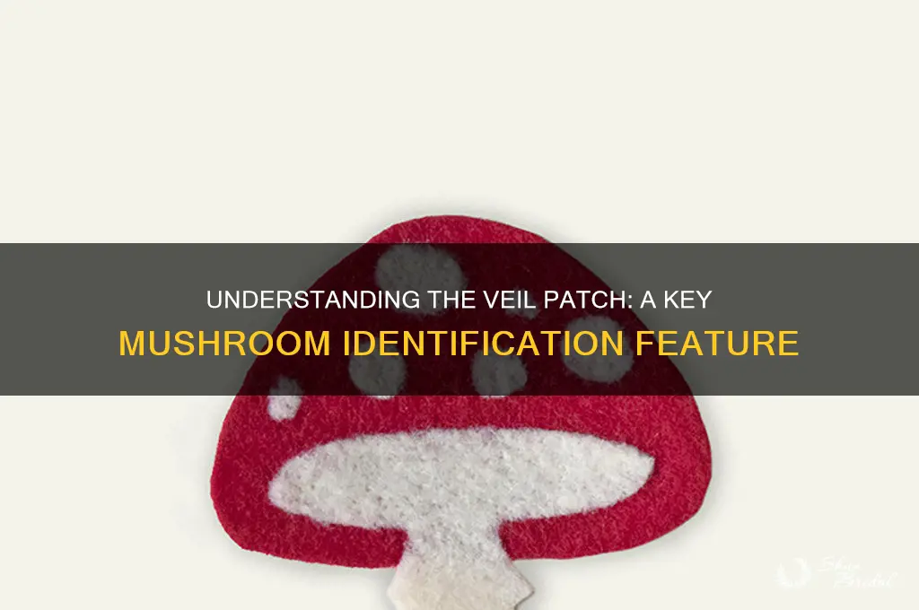 what is a veil patch on a mushroom