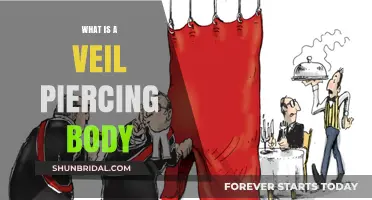 Understanding Veil Piercing: Corporate Liability and Personal Accountability Explained