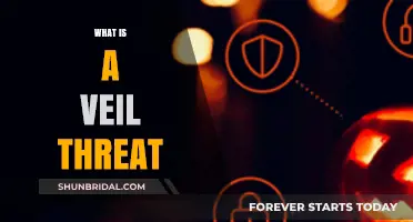 Understanding Veil Threats: Definition, Impact, and Cybersecurity Implications
