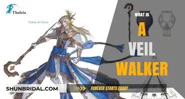 Unveiling the Mystery: Understanding the Role of a Veil Walker