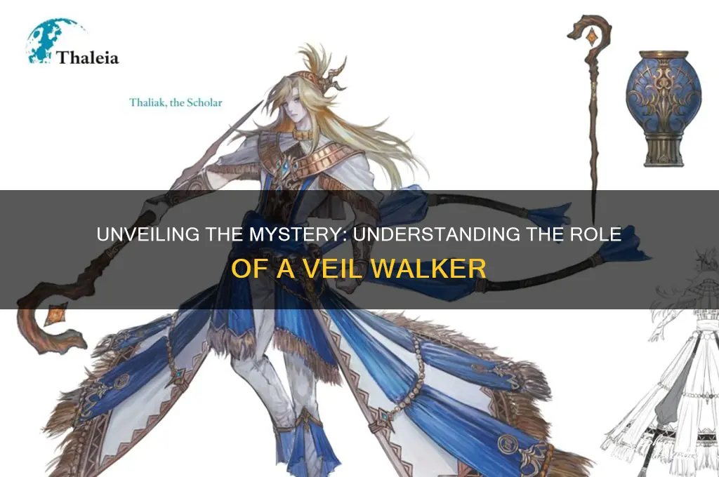 what is a veil walker
