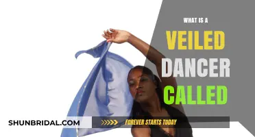 Unveiling the Mystery: What is a Veiled Dancer Called?