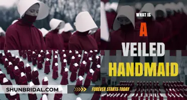 Unveiling the Mystery: Understanding the Veiled Handmaid's Role and Significance