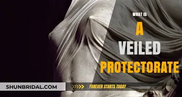 Understanding the Concept of a Veiled Protectorate: A Comprehensive Guide