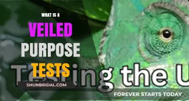 Unveiling the Mystery: Understanding Veiled Purpose Tests and Their Uses