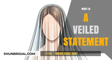 Decoding Veiled Statements: Understanding Hidden Meanings in Communication