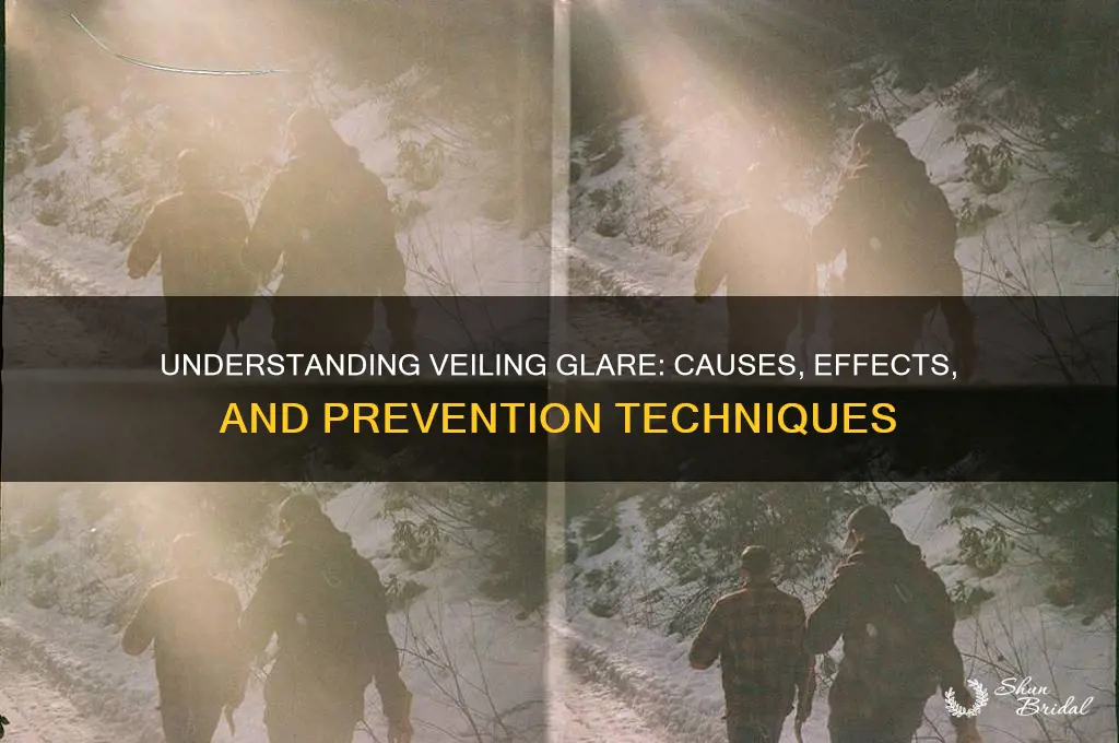 what is a veiling glare