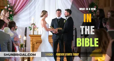 Understanding Biblical Vows: Sacred Commitments and Their Divine Significance