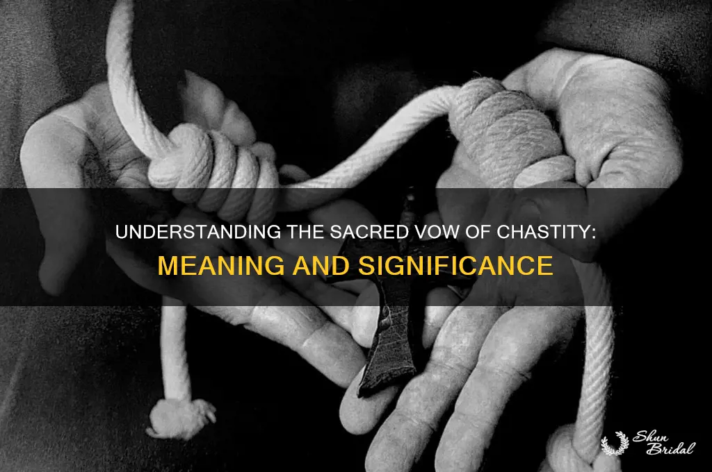 what is a vow of chasity