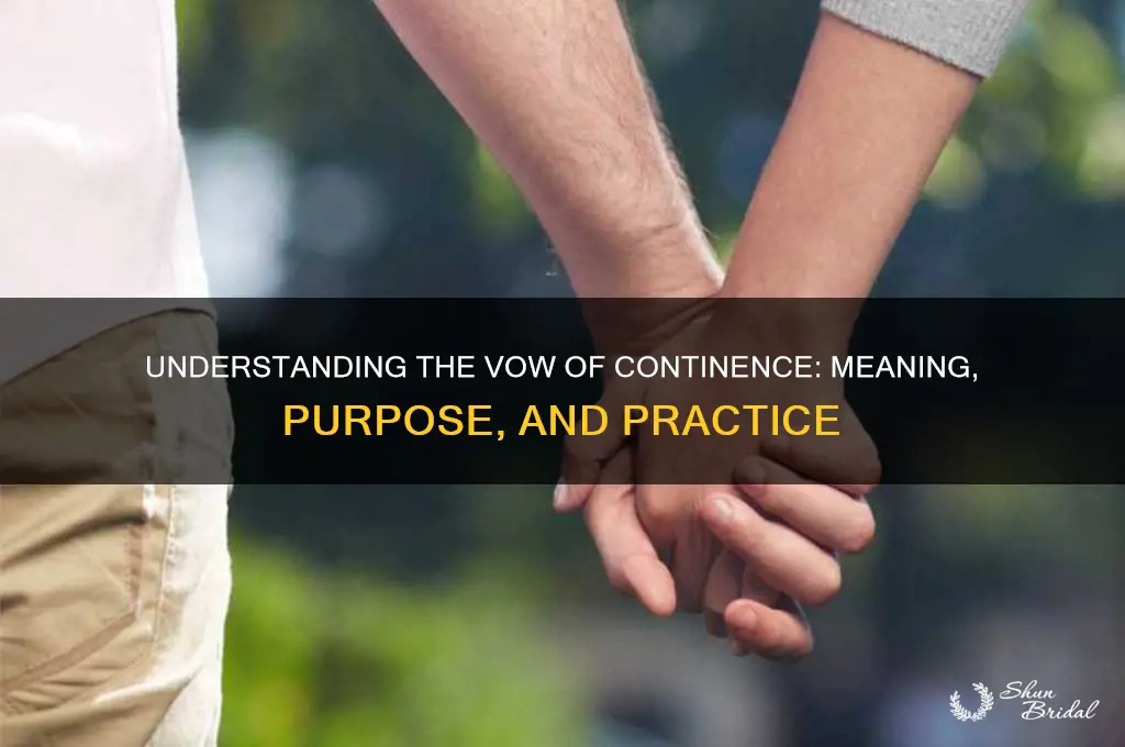 what is a vow of continence