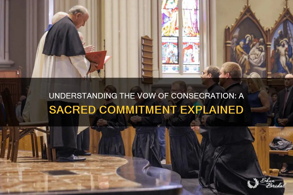 what is a vow of coscecration