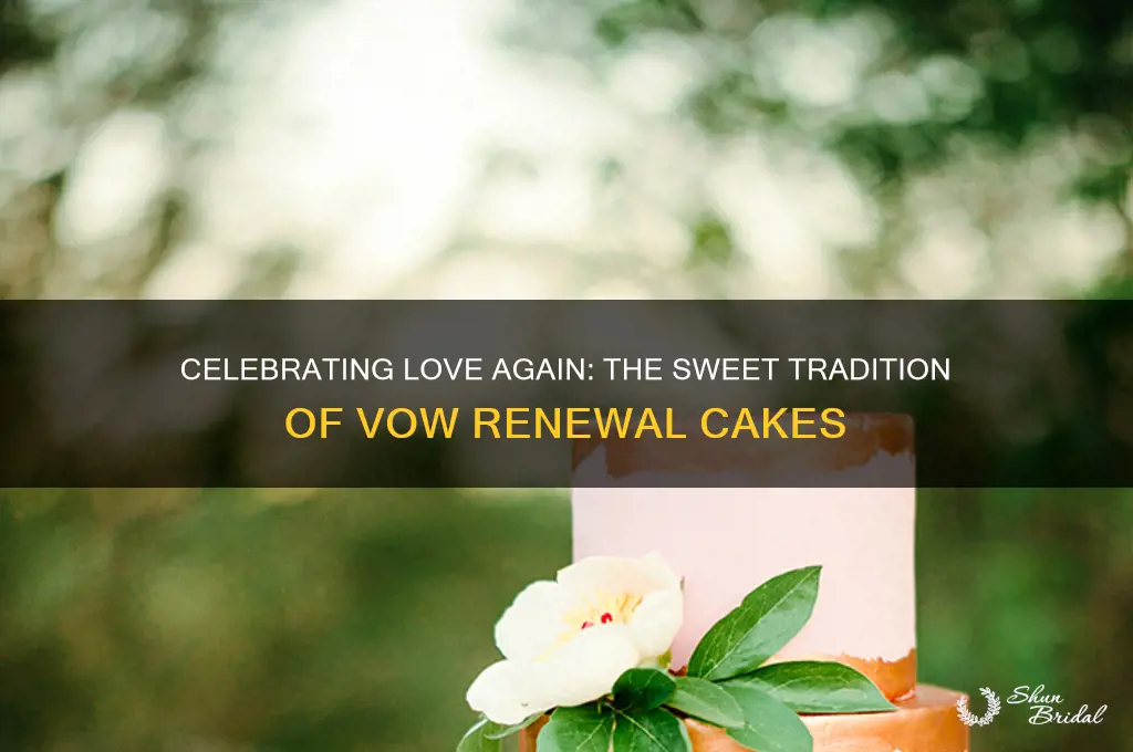 what is a vow renewal cake