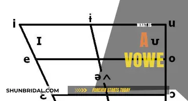 Understanding Vowels: The Essential Sounds in Language and Communication