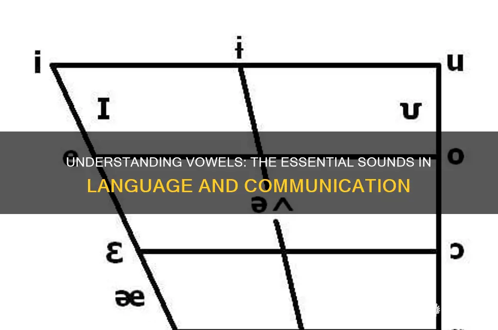 what is a vowe