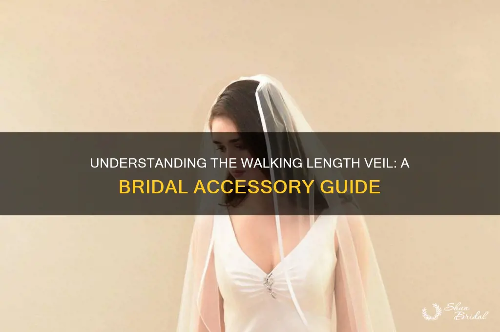 what is a walking length veil