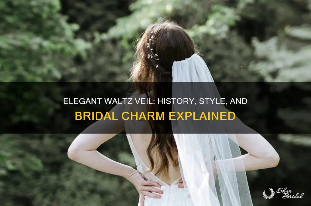 what is a waltz veil