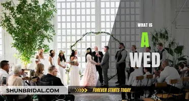 What's a Wed? A Day, Explained