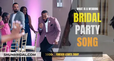 The Bridal Party's Song Choice for the Wedding