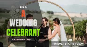 The Role of Wedding Celebrants: Making Your Day Unique