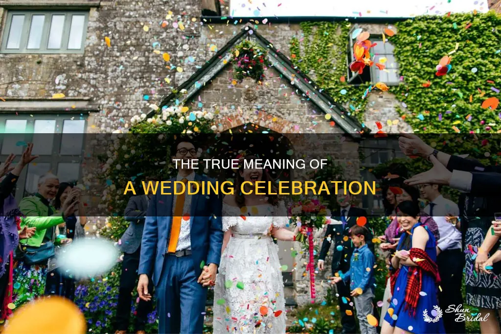 what is a wedding celebration meaning