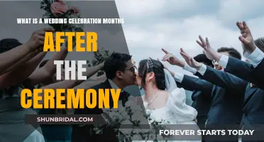 Post-Wedding Bliss: Celebrating Your Marriage Months After the Big Day